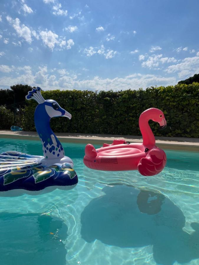 Villa Paradis Les Issambres Dış mekan fotoğraf
