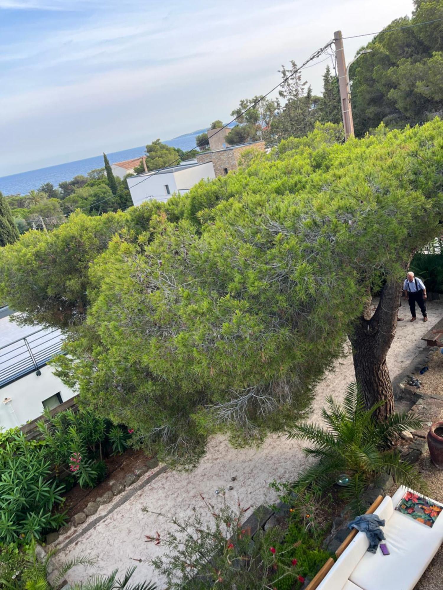 Villa Paradis Les Issambres Dış mekan fotoğraf