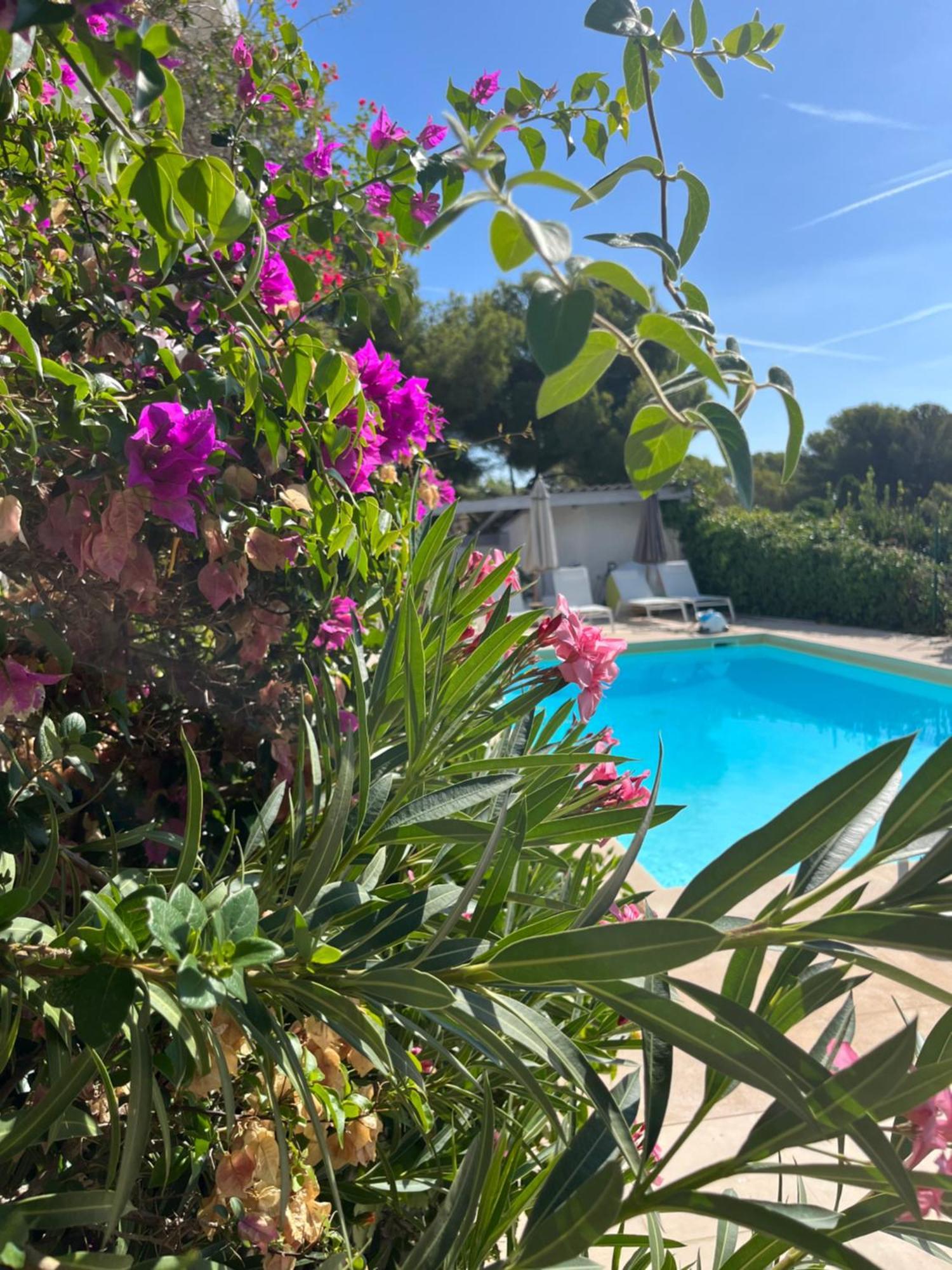 Villa Paradis Les Issambres Dış mekan fotoğraf