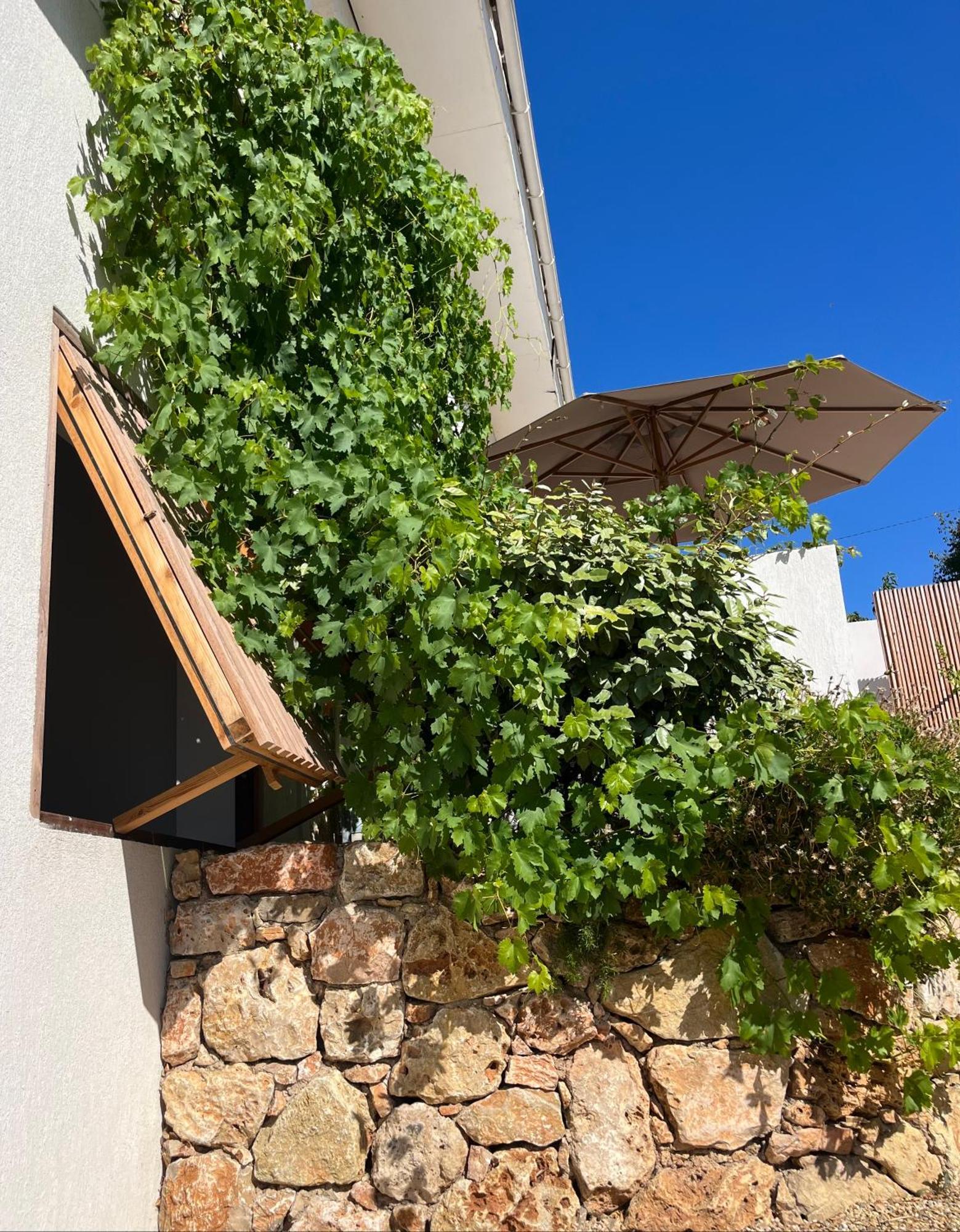 Villa Paradis Les Issambres Dış mekan fotoğraf